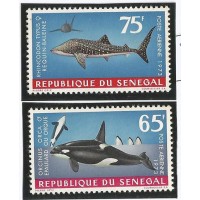 Senegal - Baleias (PROMO004)