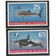 Senegal - Baleias (PROMO004)