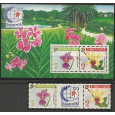 Singapura - Orquídeas(FLO-SING10)