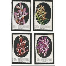 Singapura - Orquídeas(PROMOFLO07)
