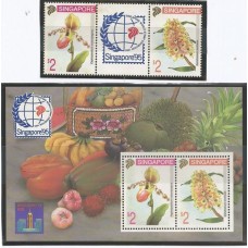 Singapura - Orquídeas(PROMOFLO06)