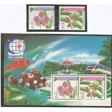 Singapura - Orquídeas (FLO-SING01)