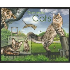 Solomon - Gatos Domésticos(FAU-SOL01)