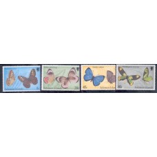 Solomon - Borboletas(FAU-SO017)