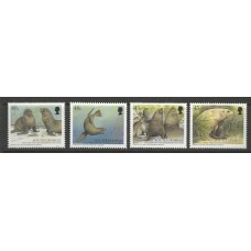 South Georgia - 0348/51 - Focas