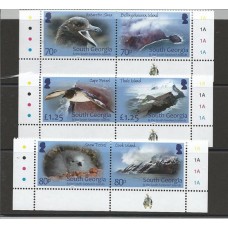 South Georgia - Aves e Paisagens