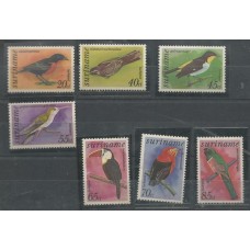 Suriname - Aves (FAU-S314A)
