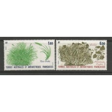 TAAF - 0125/6 - Flora Antártica