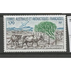 TAAF - 0149 - Bois e ave