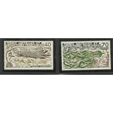 TAAF - 0068/9 - Algas