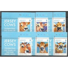 Jersey - 1848/53 - Vacas de Jersey