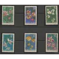 Vietnam - Orquídeas(FLO0212B)