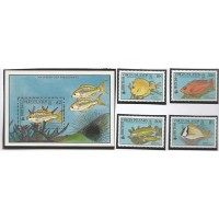 Virgin Islands - Peixes (FAU-VIR01)