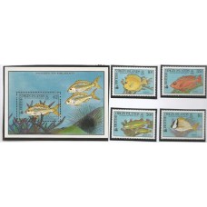 Virgin Islands - Peixes (FAU-VIR01)