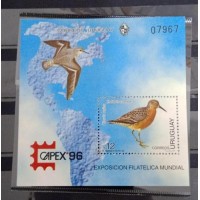 Uruguai - Aver (FAU-U060)