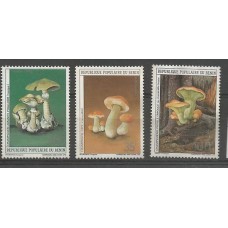 Benin - Cogumelos(FLO-BEN03)