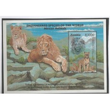 Zambia - Leºes (FAU-ZM01)