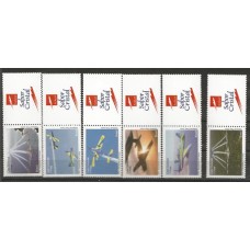 Personalizado - C-2814/9 - Esquadrão de Demonstração Aºrea(P014)