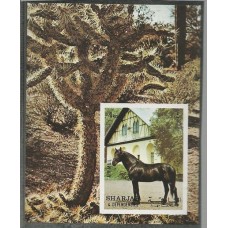 Sharjah - Cavalo(FAU-SH004)