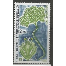 TAAF - 0175 - Flora Antártica