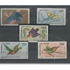 Tchad - Aves(FAU-T080A)