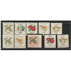 Colômbia - Flores diversas Colômbia - Flores diversas