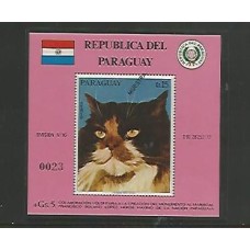 Paraguai - Fauna - Gatos - Muestra 