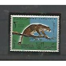Somália - Pro Infância - Fauna - Leopardo  