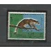 Somália - Pro Infância - Fauna - Leopardo  