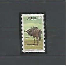 Sudoeste Africano  - 506   - Animais Selvagens - Gnu-de-cauda-preta - Fauna  