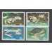 Thailand - Caranguejos da Tailândia - varios - fauna -Crustáceos