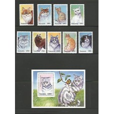 Tanzânia - Gatos diversos - Felinos 