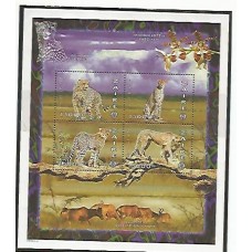 Zaire - Fauna - Mamíferos - Felinos - Onças Pintadas